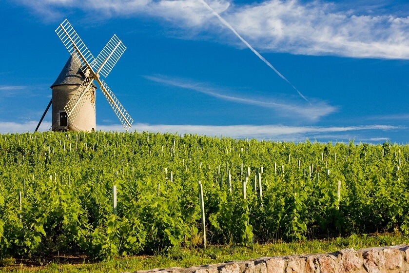 Beaujolais Moulin