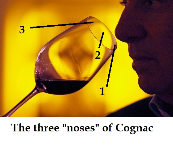 Cognac Tasting