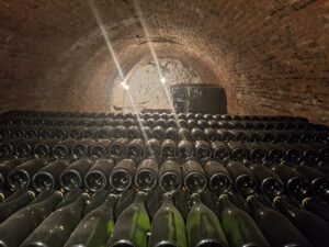 Champagne Vineyard